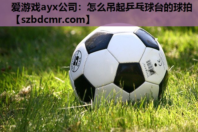 怎么吊起乒乓球台的球拍